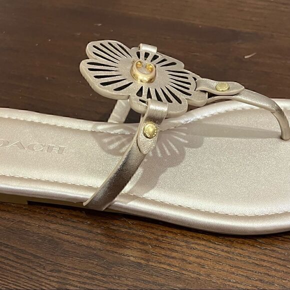 10 COACH JULIA SANDALS metallic gold or champagne Bnib - Picture 8 of 12
